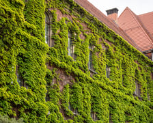 Muzeum Narodowe we Wrocławiu